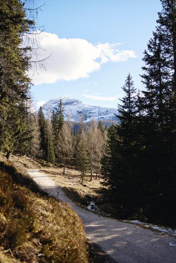 Rifugio Malga Ra Stua Villa Cortina dʼAmpezzo Eksteriør billede