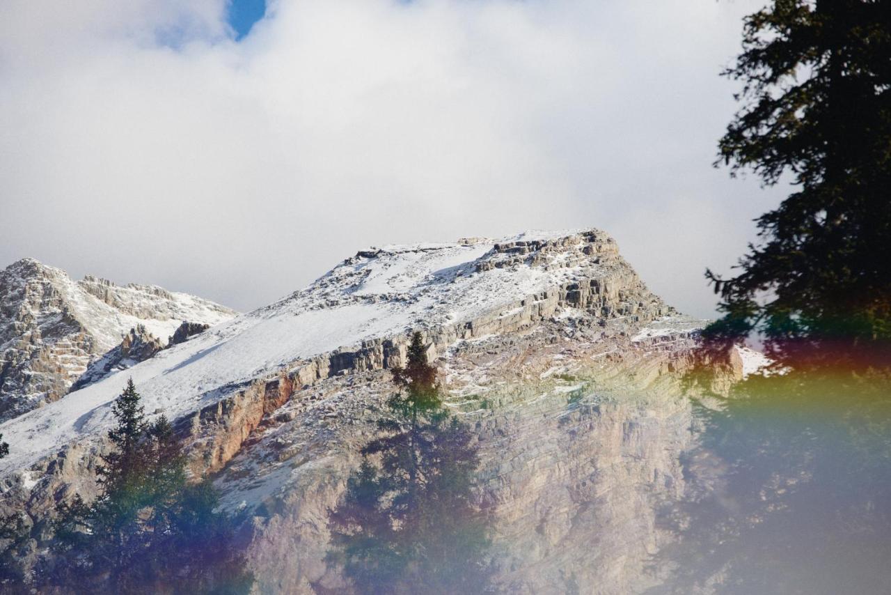 Rifugio Malga Ra Stua Villa Cortina dʼAmpezzo Eksteriør billede